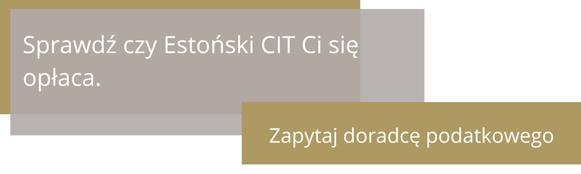 estoński CIT zalety i wady